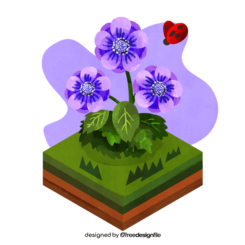 Anemone flower vector