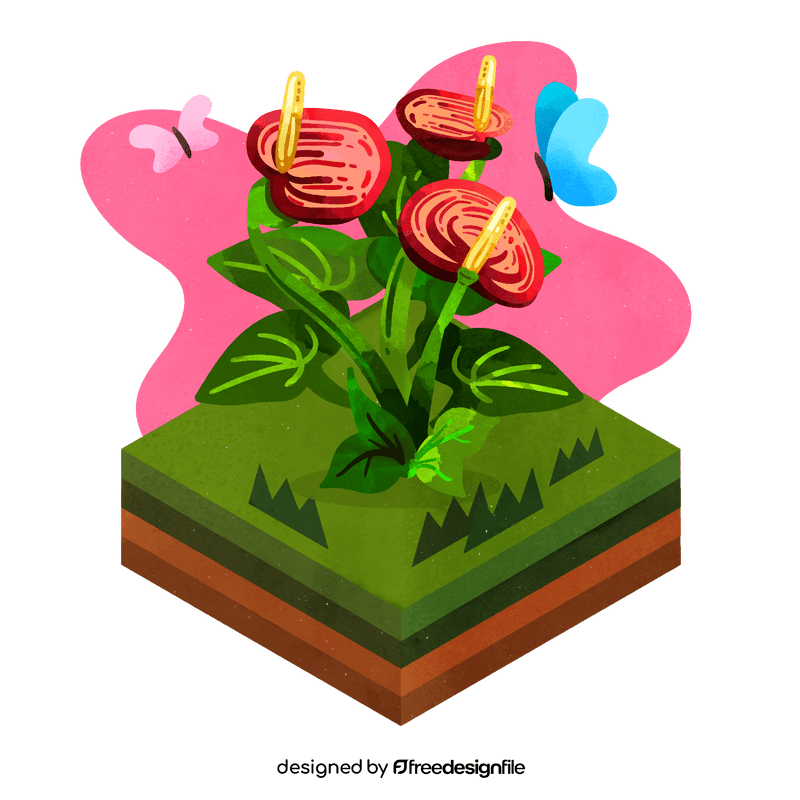 Anthurium flower vector