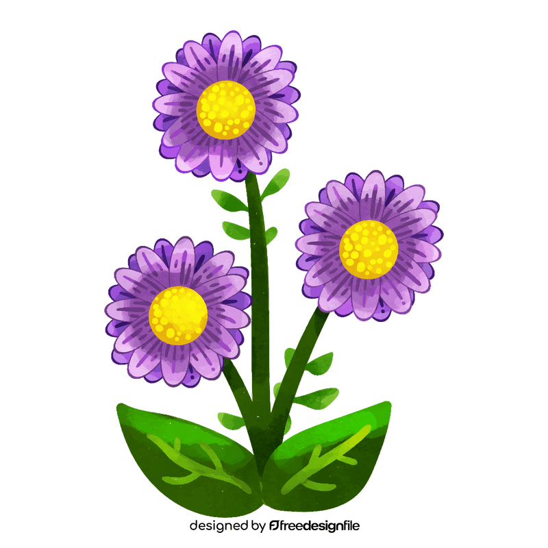 Aster flower clipart