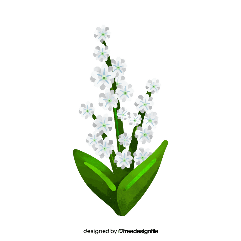 Babys breath flower clipart