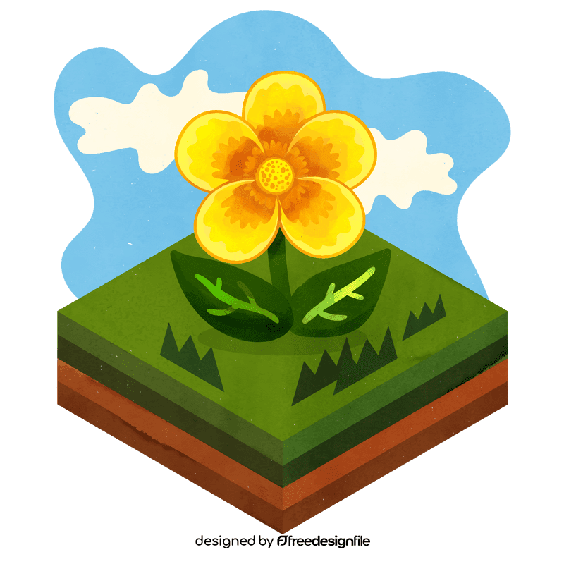 Buttercup flower vector