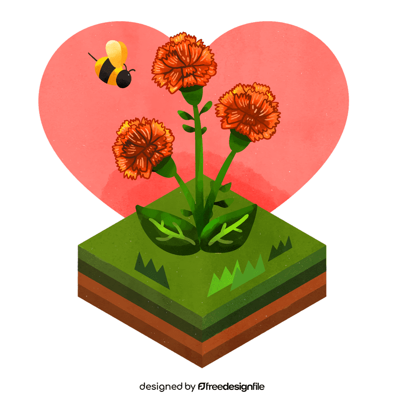 Carnation flower vector