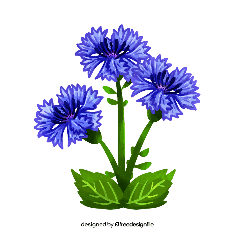 Corn flower flower clipart