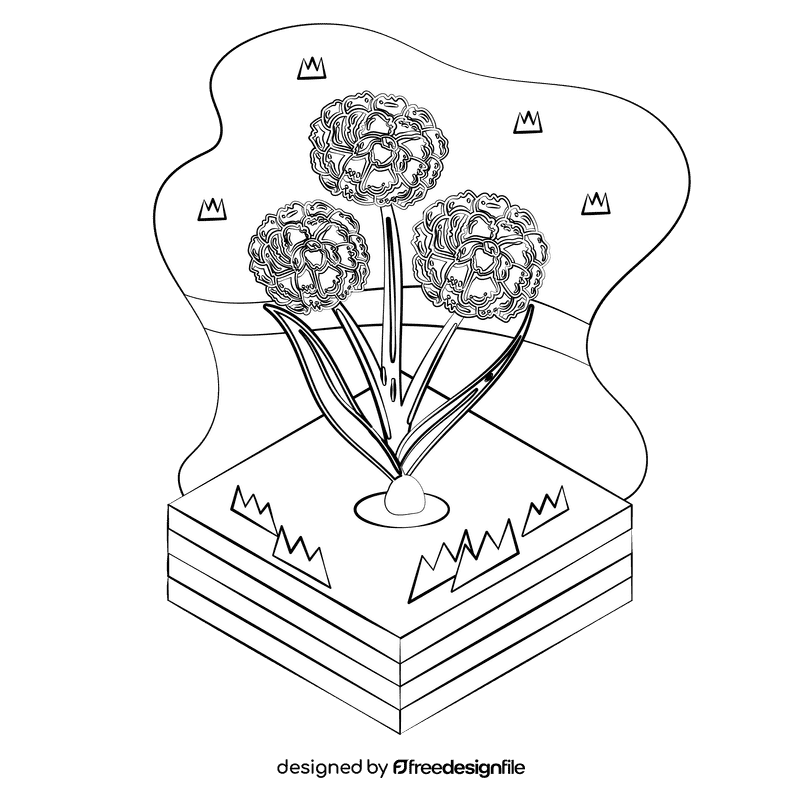 Craspedia flower black and white clipart