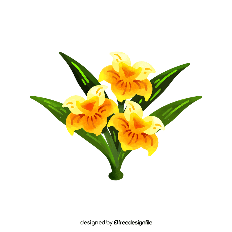 Daffodil flower clipart