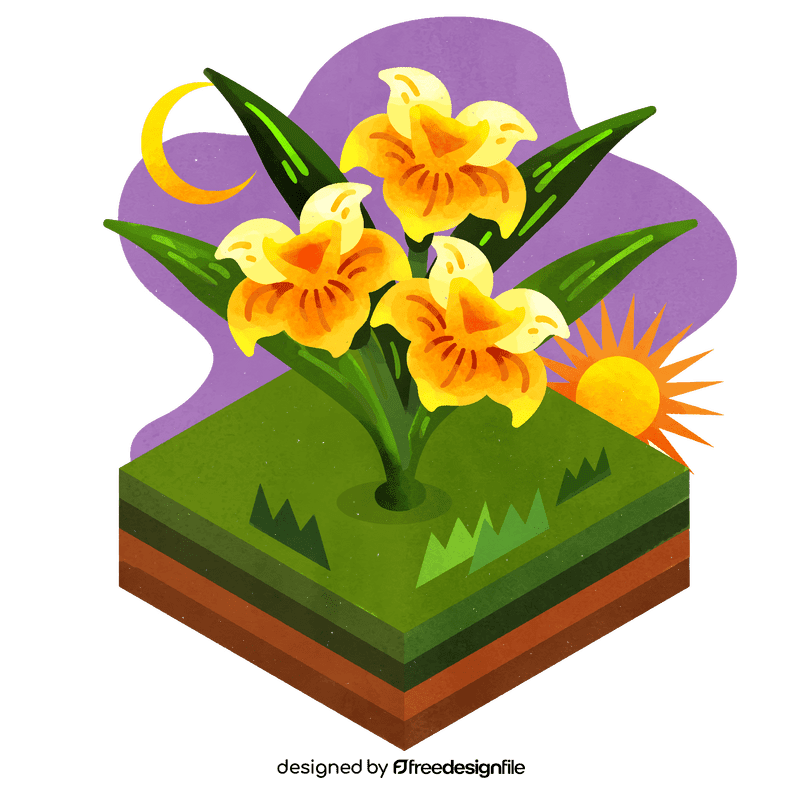 Daffodil flower vector