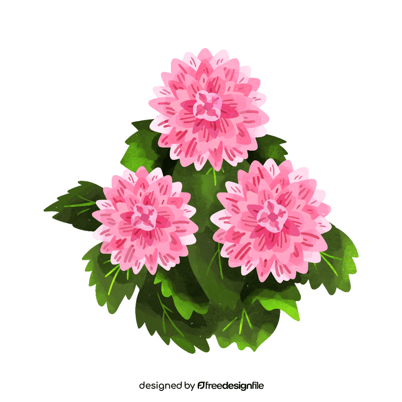 Dahlia flower clipart