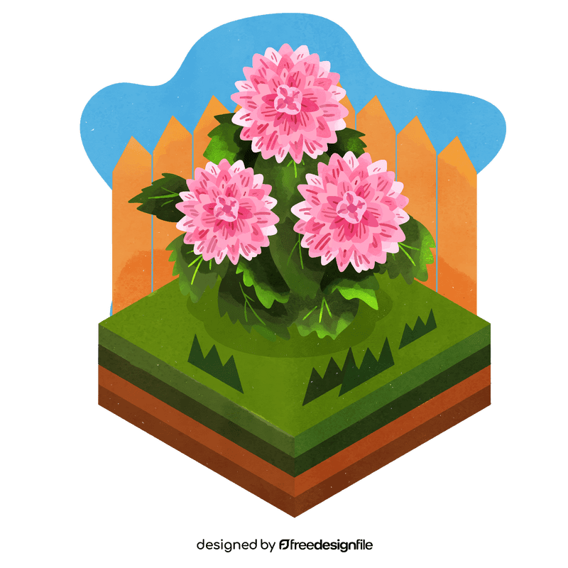 Dahlia flower vector