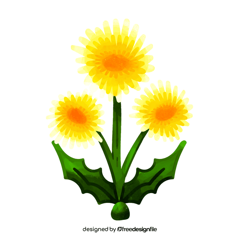 Dandelion flower clipart