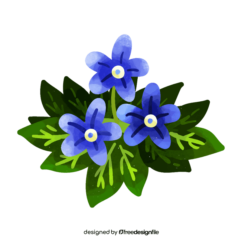 Forget me not flower clipart