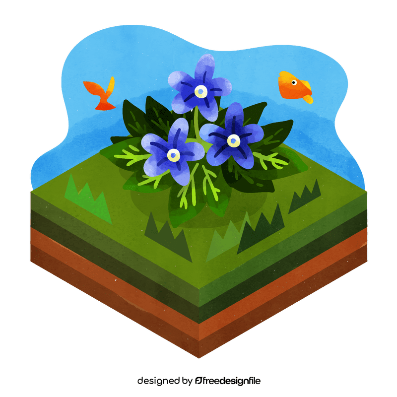 Forget me not flower vector