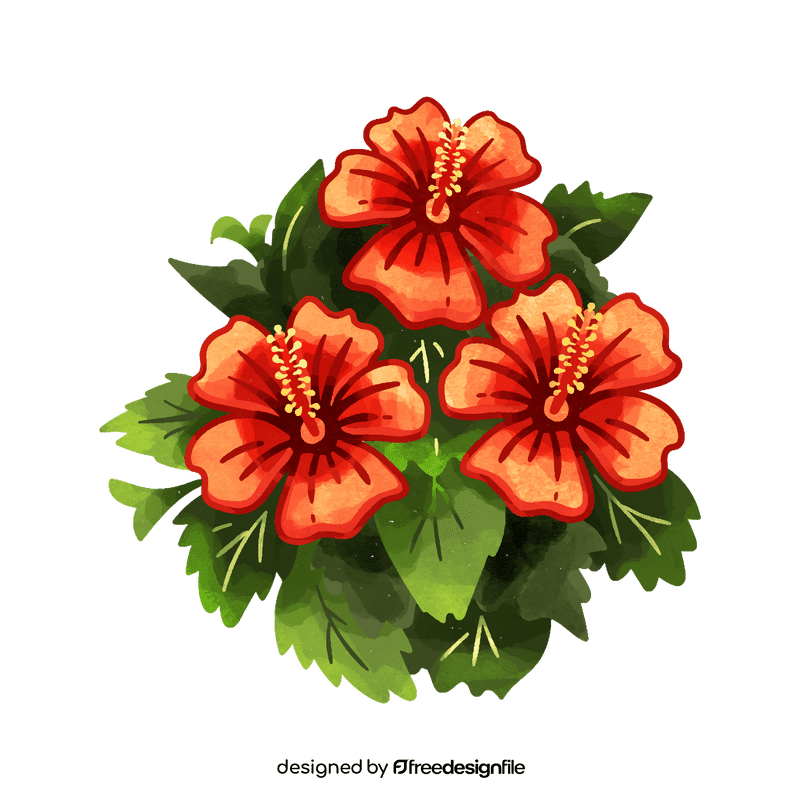 Hibiscus flower clipart