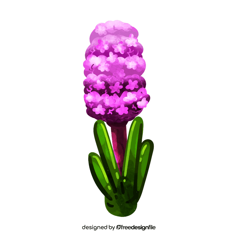 Hyacinth flower clipart