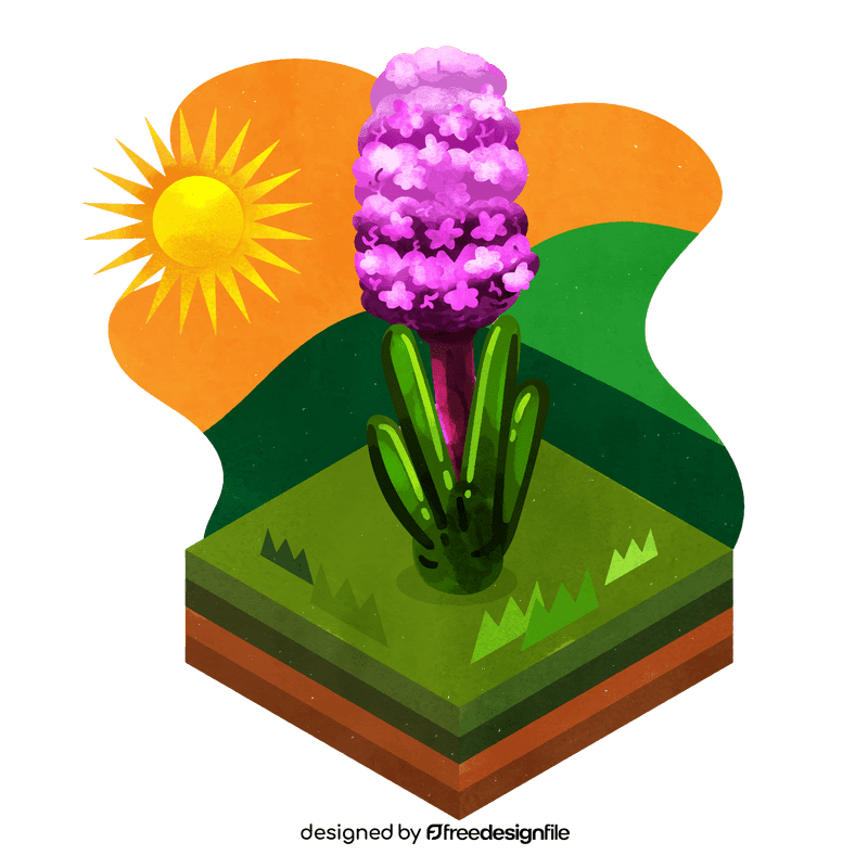 Hyacinth flower vector