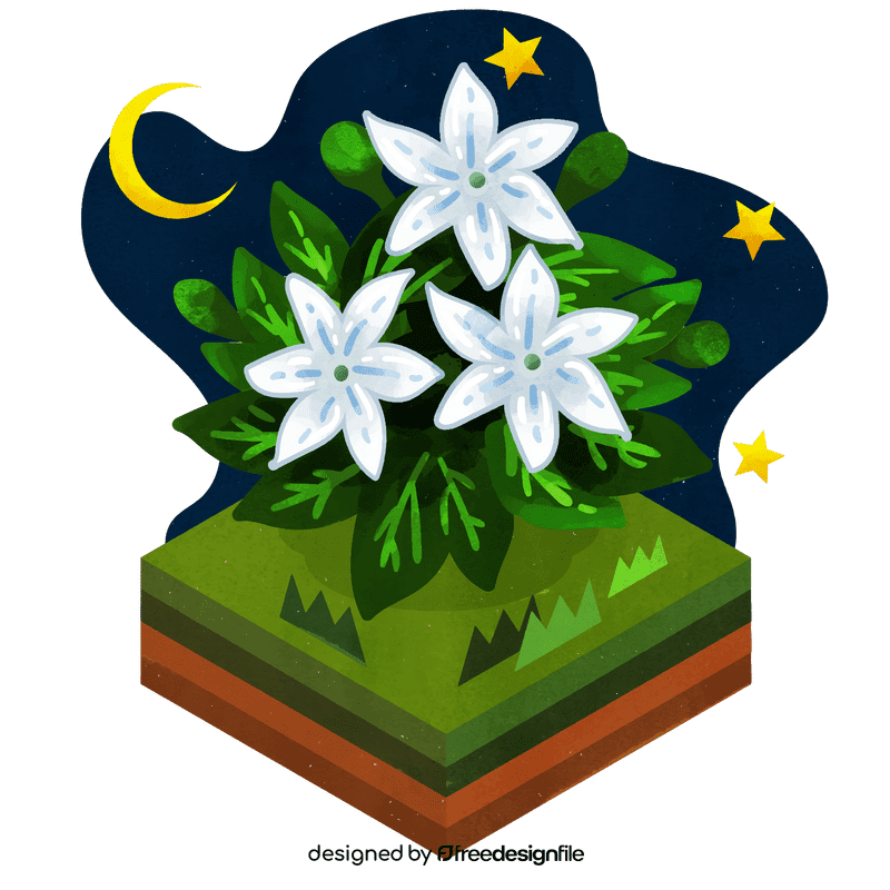 Jasmine flower vector