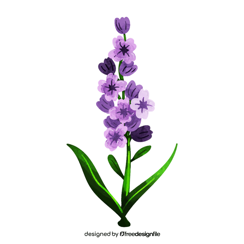 Lavender flower clipart