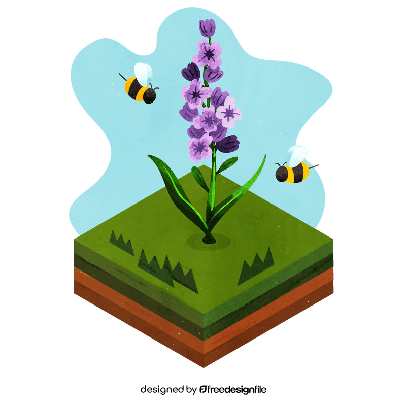 Lavender flower vector