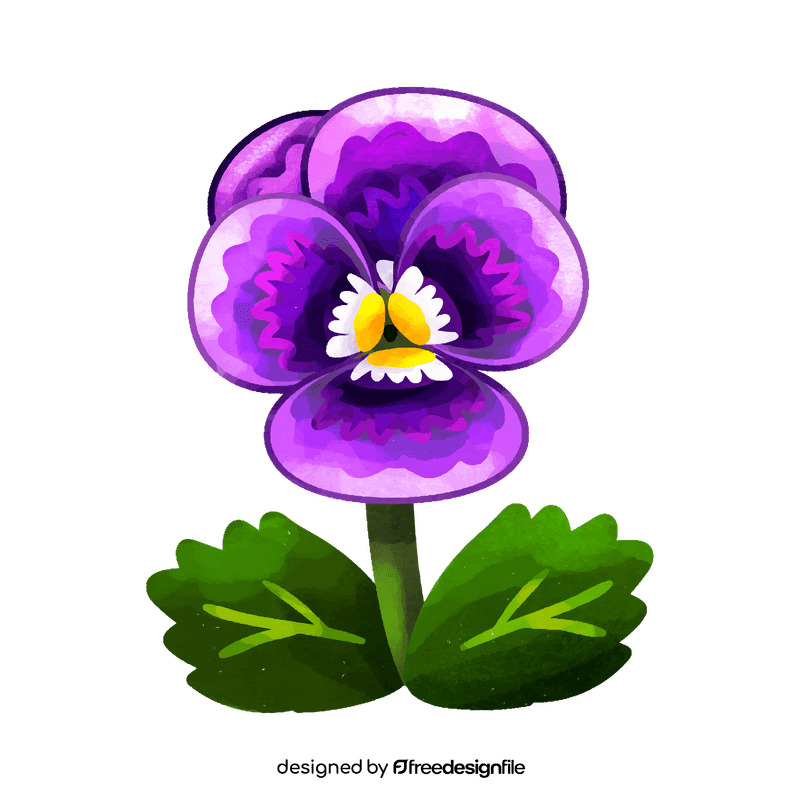 Pansy flower clipart