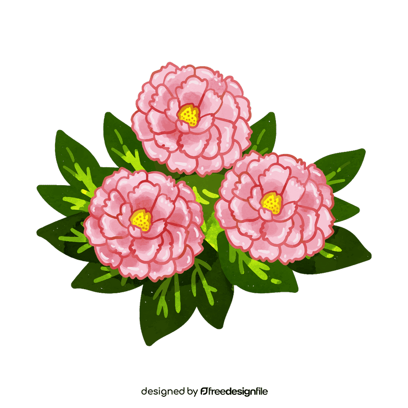 Peony flower clipart