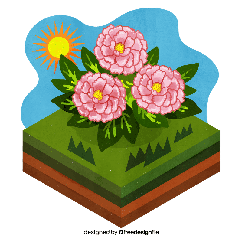 Peony flower vector