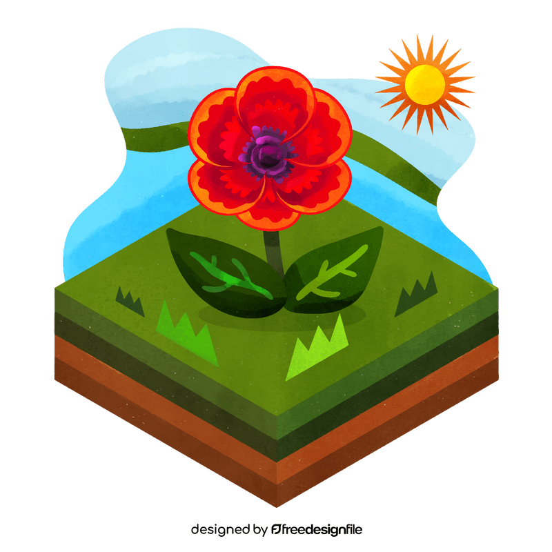 Poppy flower vector