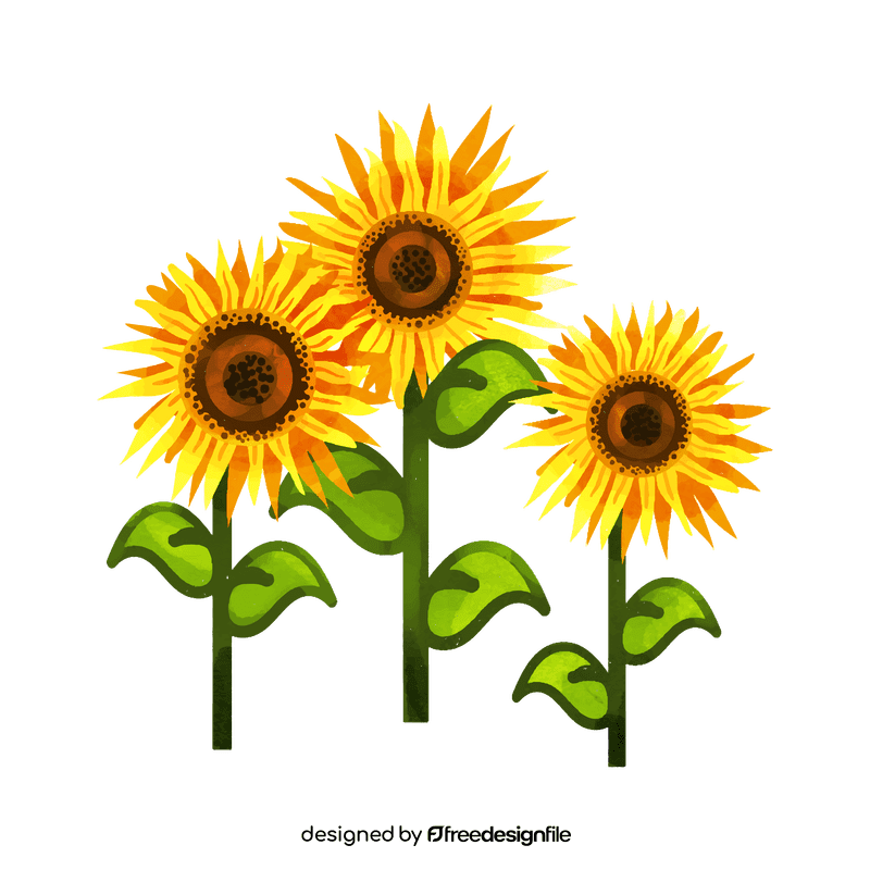 Sunflower flower clipart