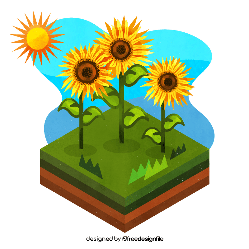 Sunflower flower vector