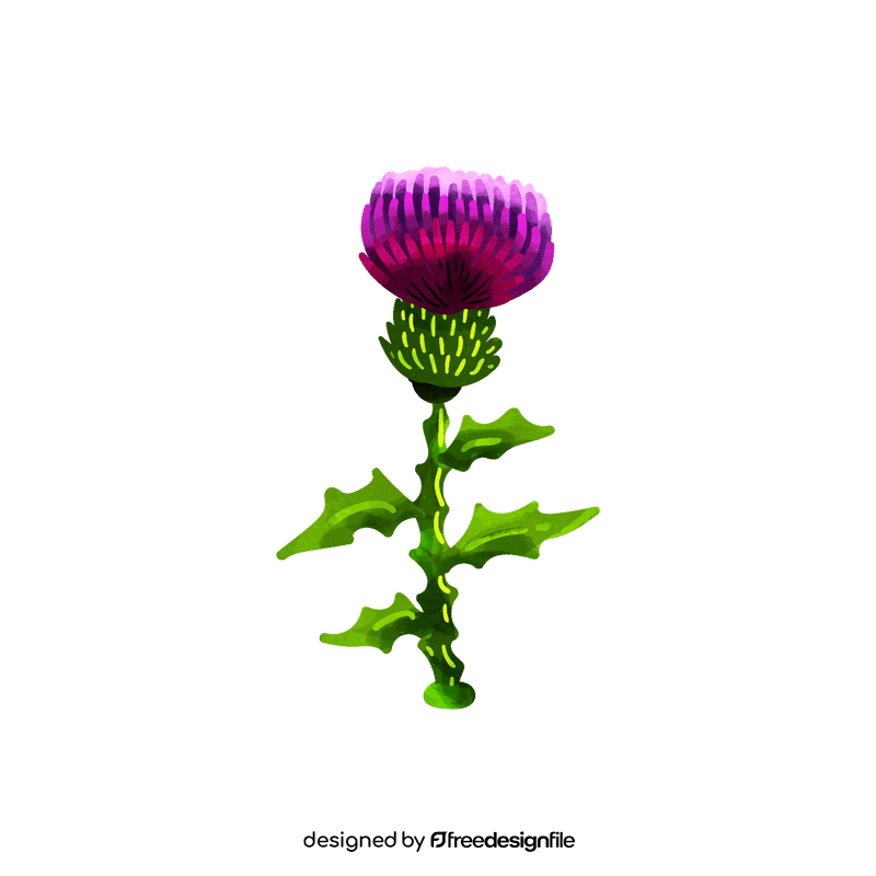 Thistle flower clipart