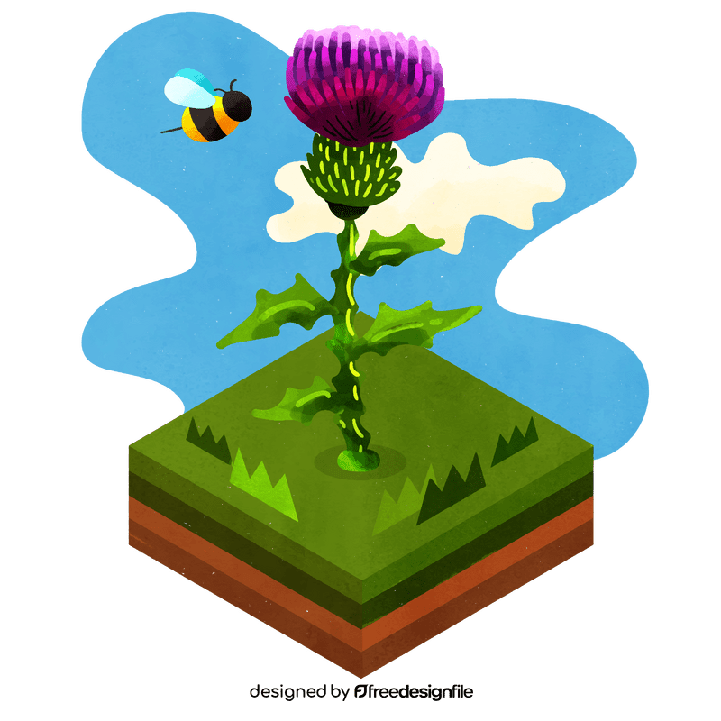 Thistle flower vector