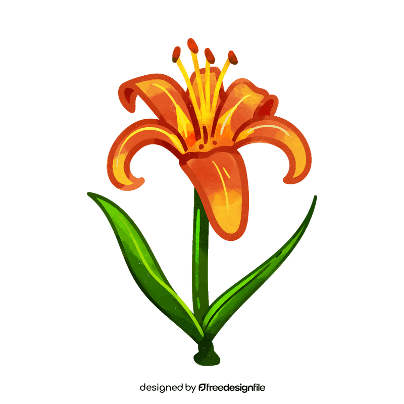 Tiger lily flower clipart