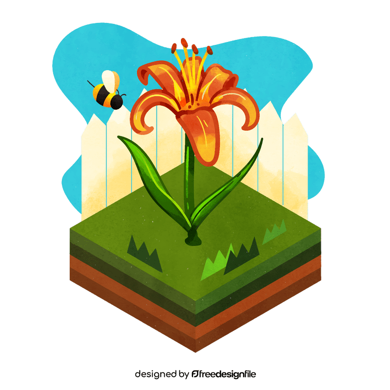 Tiger lily flower vector