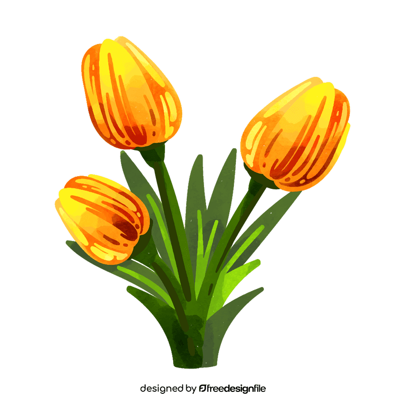 Tulips flower clipart