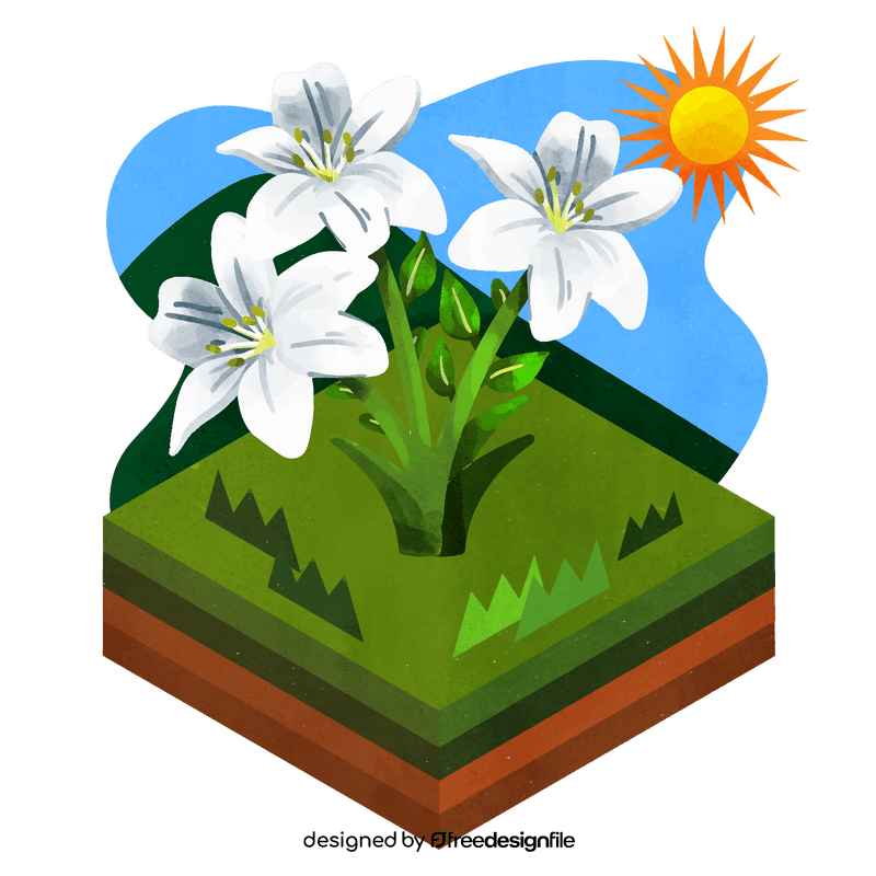 White lily flower vector