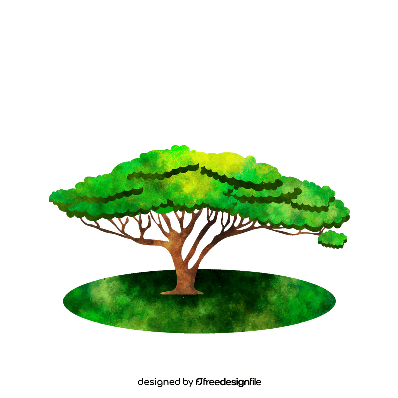 Acacia tree clipart