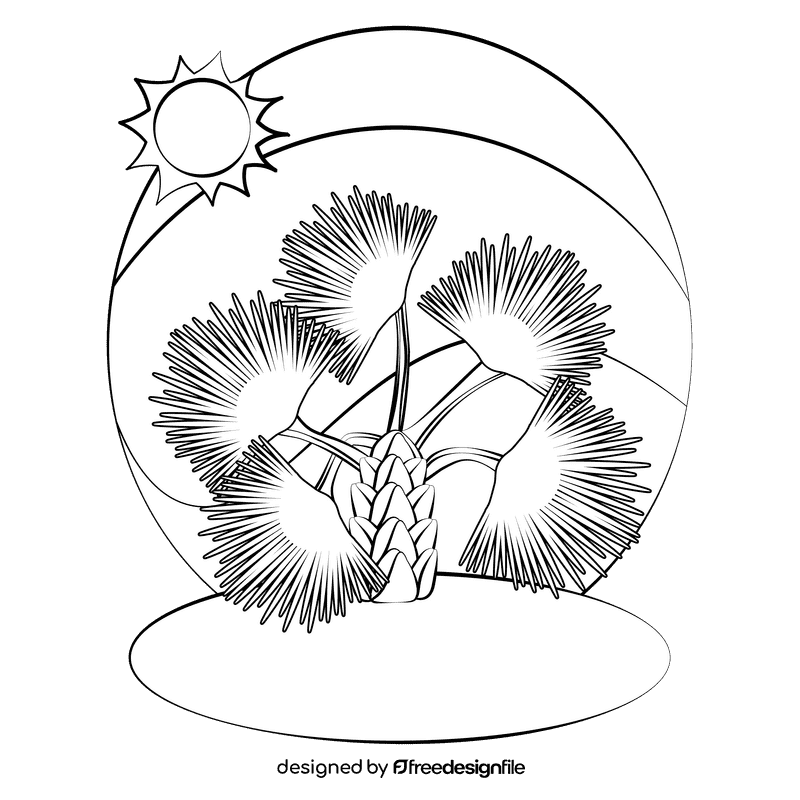 Fan palm black and white clipart