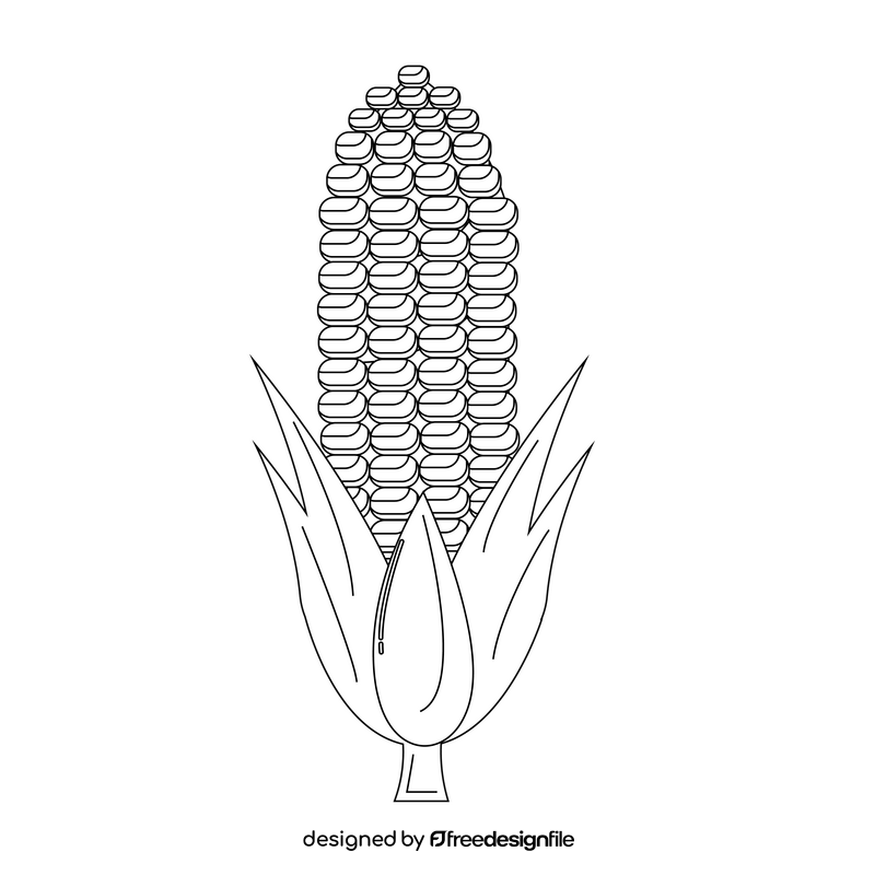 Corn healthy food black and white clipart