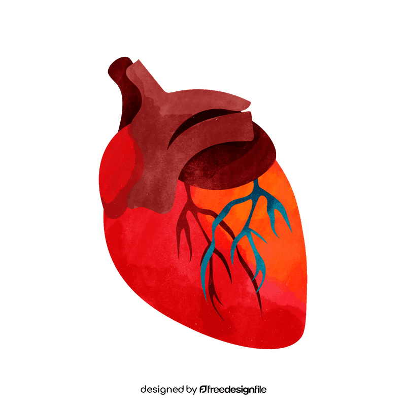 Heart clipart