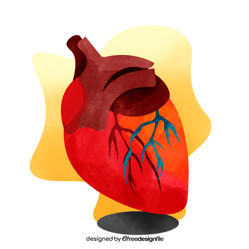 Heart vector