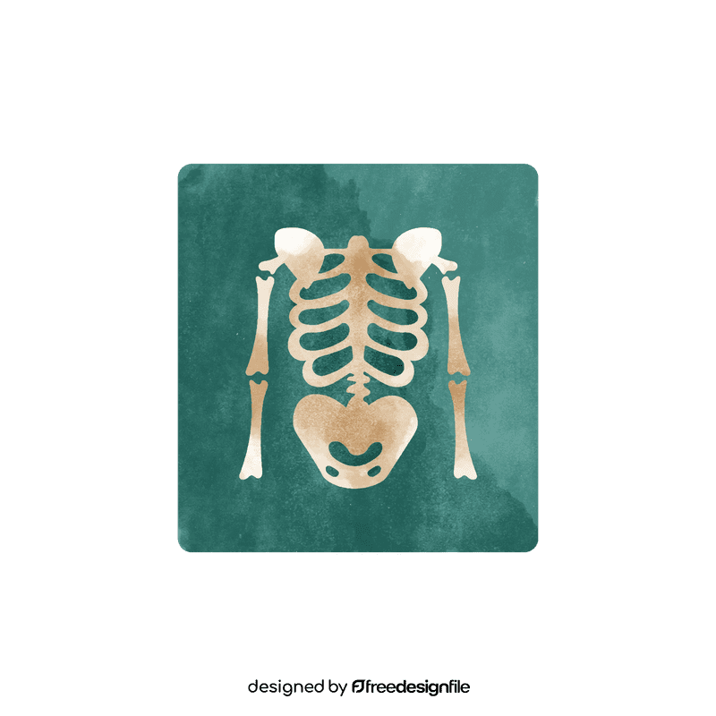 X ray clipart