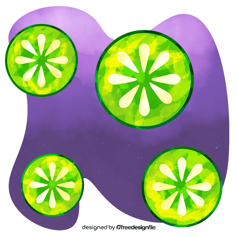 Cucumber slices vector