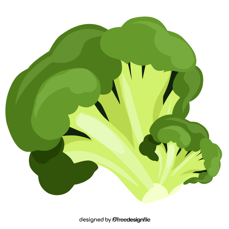 Broccoli healthy food clipart
