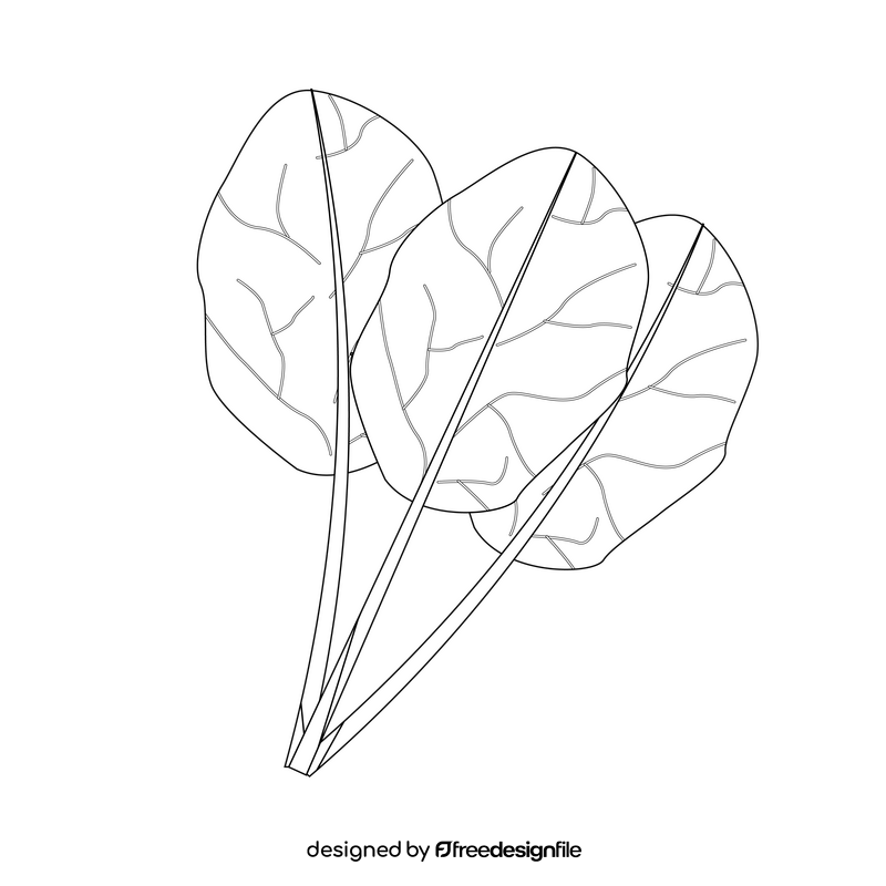Spinach black and white clipart vector free download