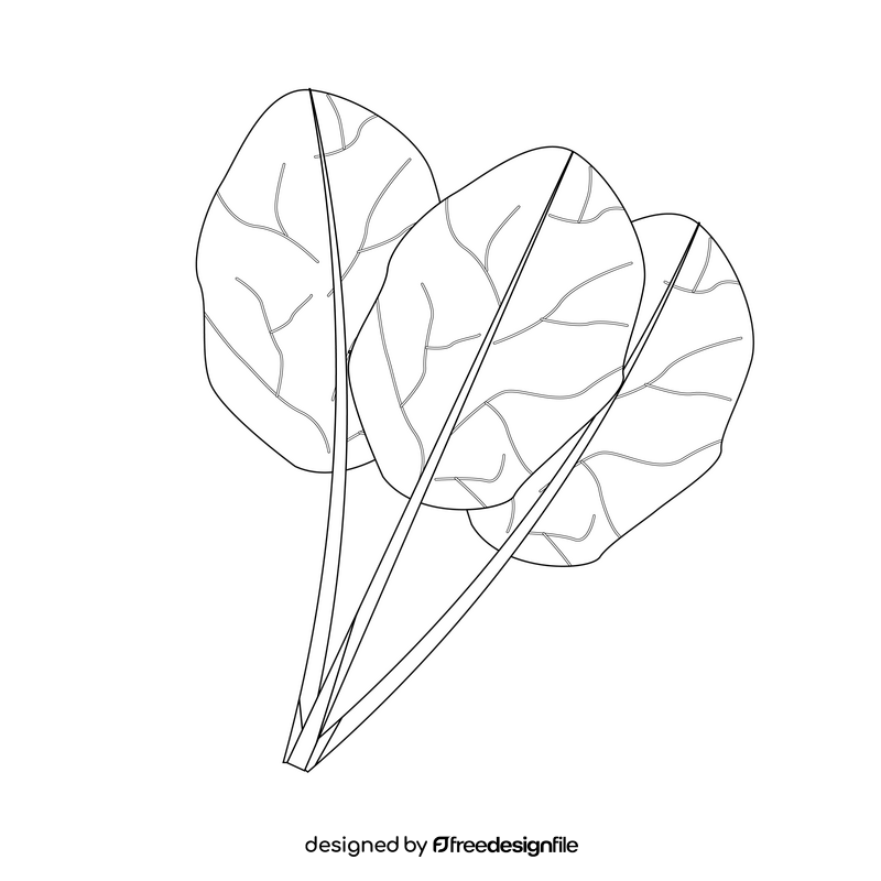 Spinach black and white clipart