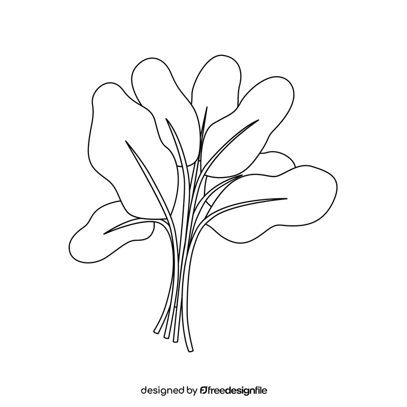 Spinach leaves black and white clipart