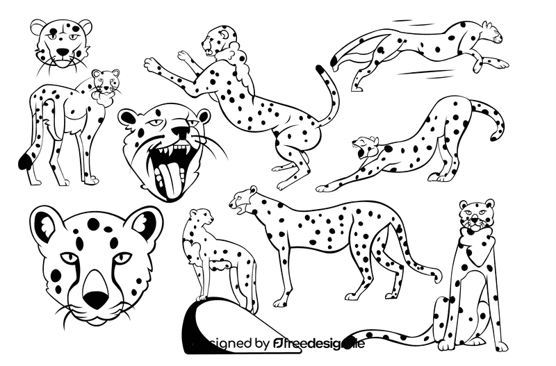 Cheetah black and white vector