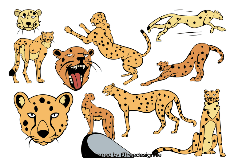 Cheetah vector