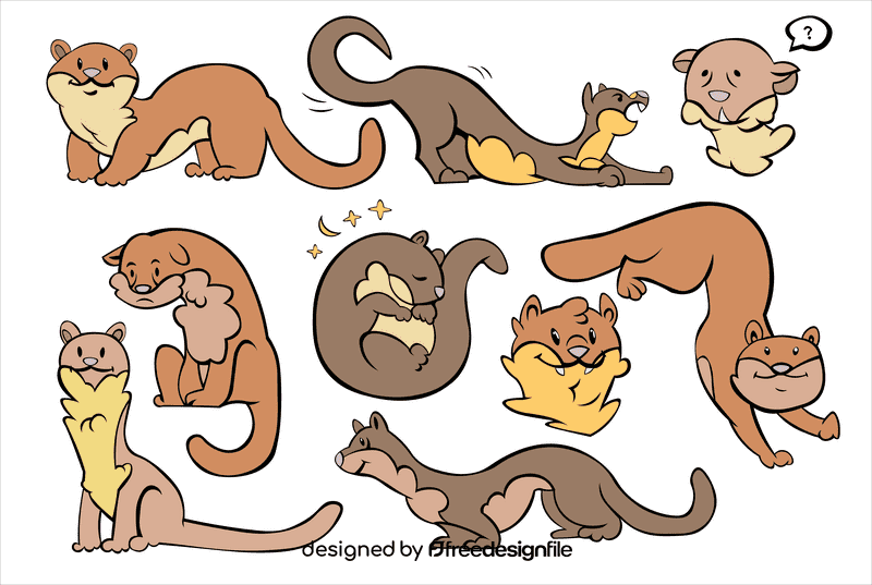 Ferret vector