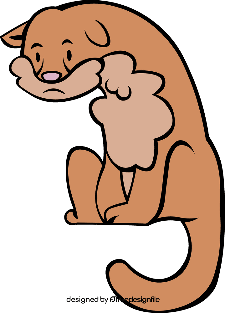Ferret clipart