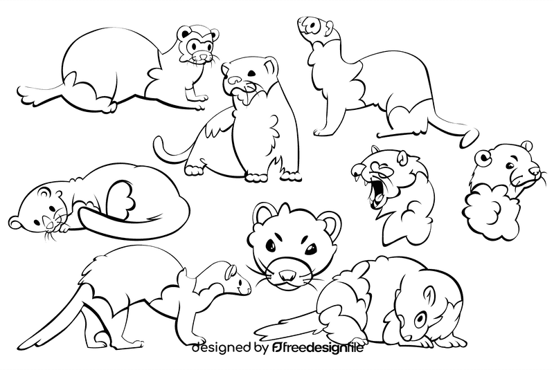 Ferret black and white vector