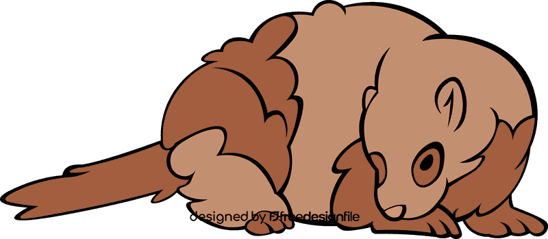 Ferret animal clipart